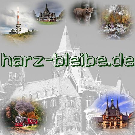 Harz-Bleibe Wernigerode公寓 外观 照片